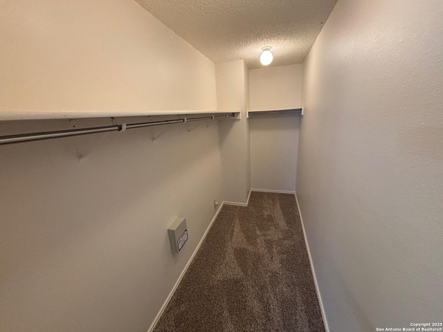 7835 Ruby Mdw, San Antonio, TX 78251 - walk in closet with dark carpet