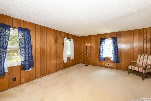 5803 Hollyhock, San Antonio, TX 78240 - unfurnished room featuring carpet flooring, plenty of natural light, a textured ceiling, and wooden walls