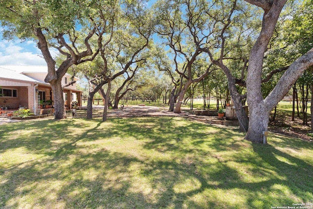 5803 Hollyhock, San Antonio, TX 78240 - view of green lawn