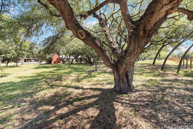 5803 Hollyhock, San Antonio, TX 78240 - view of yard
