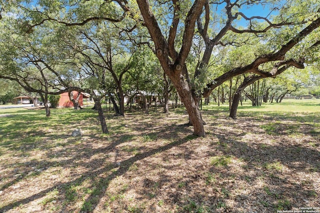 5803 Hollyhock, San Antonio, TX 78240 - view of yard