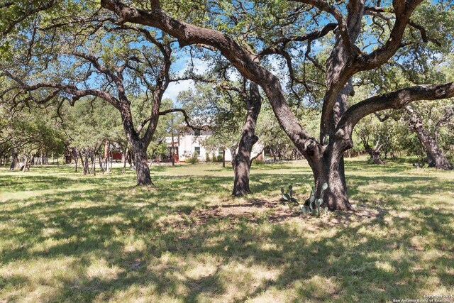 5803 Hollyhock, San Antonio, TX 78240 - view of grassy yard