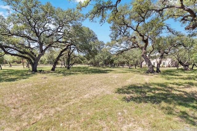 5803 Hollyhock, San Antonio, TX 78240 - view of grassy yard