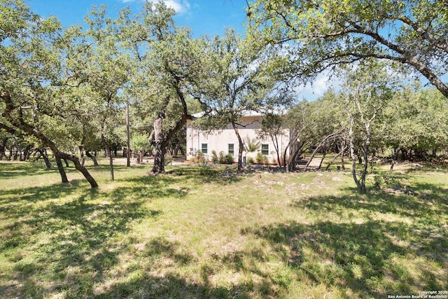5803 Hollyhock, San Antonio, TX 78240 - view of green lawn