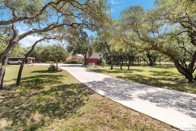 5803 Hollyhock, San Antonio, TX 78240 - view of community featuring a yard and driveway