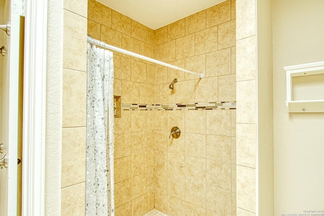 15018 Miss Ellie Dr, San Antonio, TX 78247 - full bathroom with a tile shower