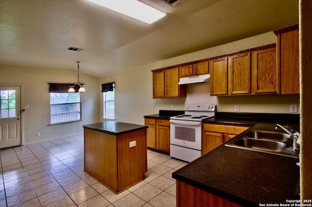 219 Starling, New Braunfels, TX 78130 - kitchen featuring white electric stove, under cabinet range hood, a sink, lofted ceiling, and a center island