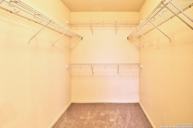 219 Starling, New Braunfels, TX 78130 - walk in closet featuring carpet
