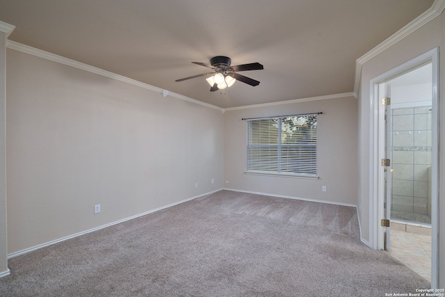 2392 Medina, New Braunfels, TX 78130 - empty room featuring a ceiling fan, carpet flooring, baseboards, and crown molding