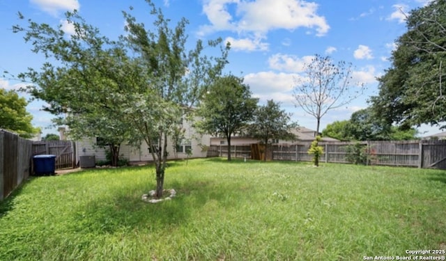 4039 Privet, San Antonio, TX 78259 - view of yard