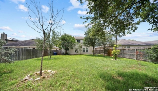 4039 Privet, San Antonio, TX 78259 - view of yard