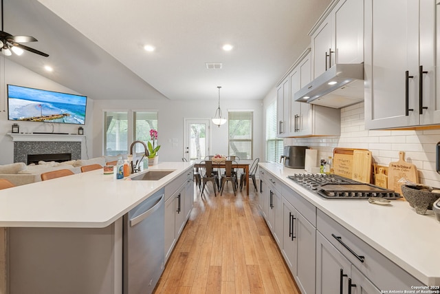 375 Sonata Cyn, Spring Branch, TX 78070 - kitchen with appliances with stainless steel finishes, a sink, under cabinet range hood, light wood-style flooring, and a ceiling fan