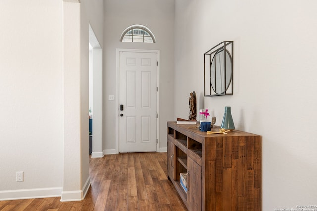 375 Sonata Cyn, Spring Branch, TX 78070 - foyer featuring wood finished floors and baseboards