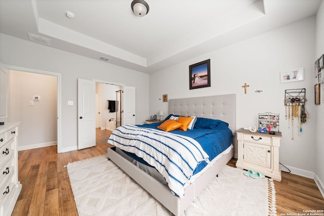 375 Sonata Cyn, Spring Branch, TX 78070 - bedroom featuring a tray ceiling, light wood-style flooring, and baseboards