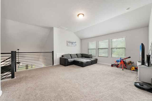 375 Sonata Cyn, Spring Branch, TX 78070 - carpeted living room with lofted ceiling and baseboards