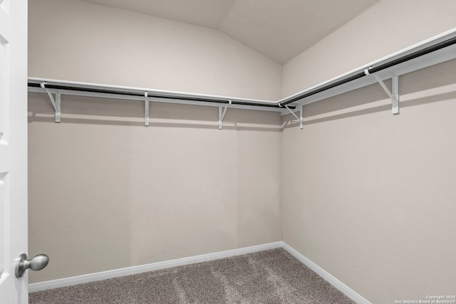 3065 Charyn Way, New Braunfels, TX 78132 - walk in closet featuring carpet flooring and vaulted ceiling