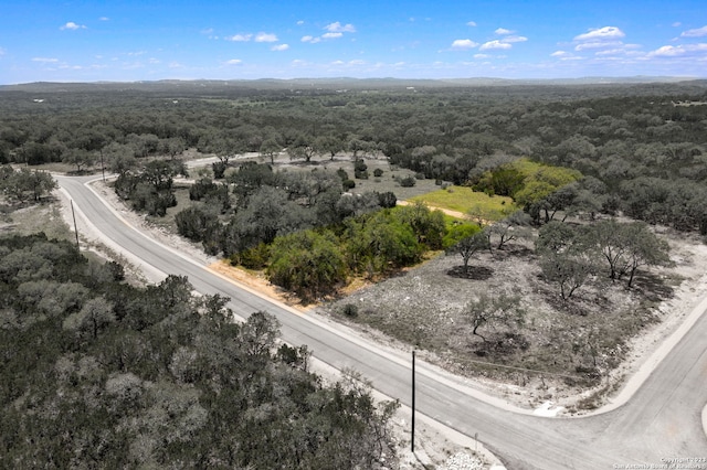 310 Serenity Pass, Spring Branch, TX 78070