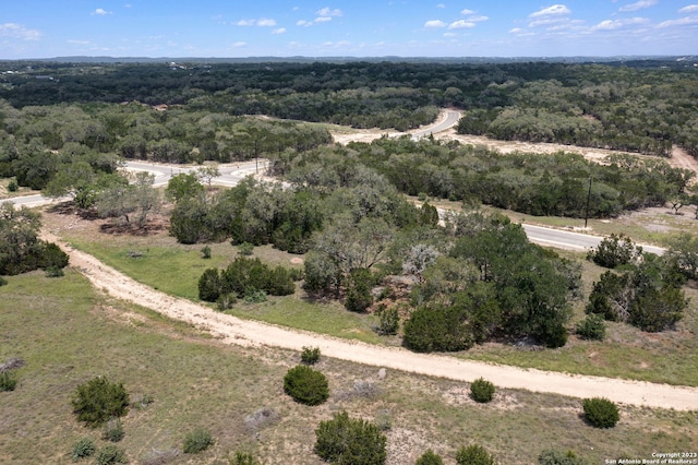 310 Serenity Pass, Spring Branch, TX 78070