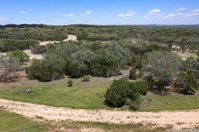 310 Serenity Pass, Spring Branch, TX 78070