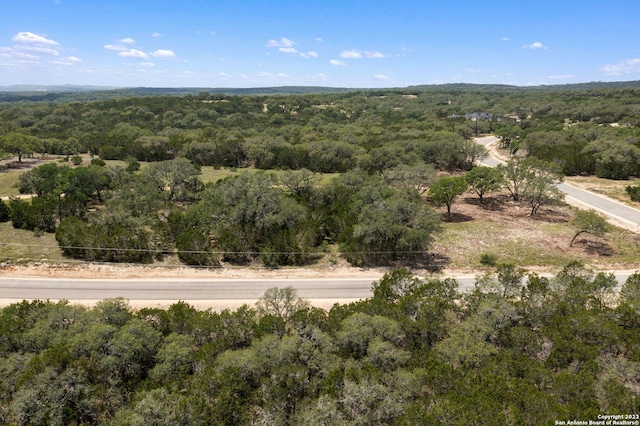 310 Serenity Pass, Spring Branch, TX 78070
