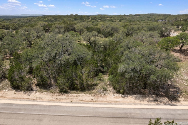 310 Serenity Pass, Spring Branch, TX 78070
