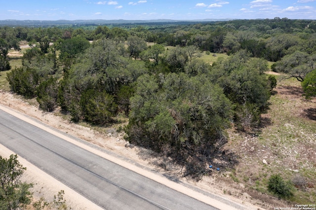 310 Serenity Pass, Spring Branch, TX 78070
