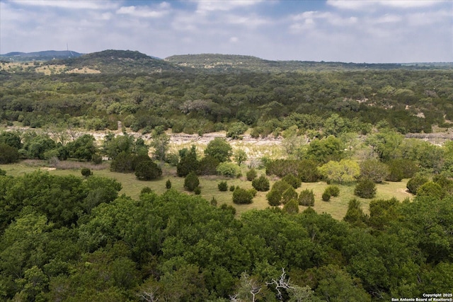000 Oakridge Trl, Pipe Creek, TX 78063