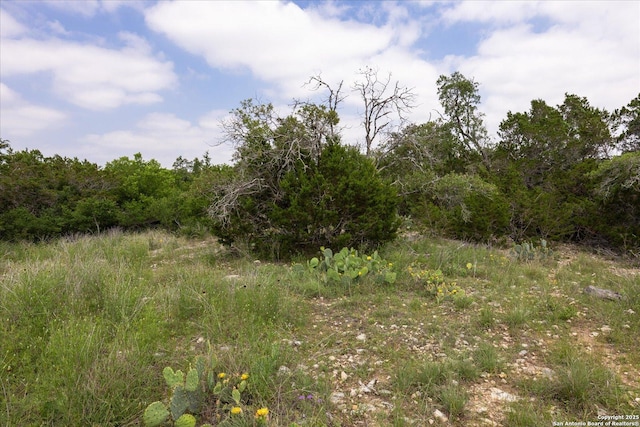 000 Oakridge Trl, Pipe Creek, TX 78063