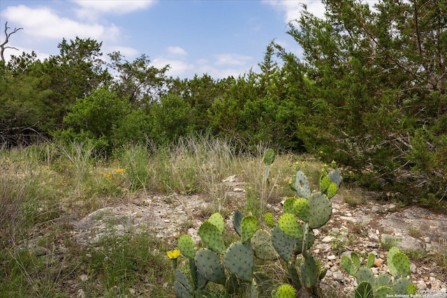 000 Oakridge Trl, Pipe Creek, TX 78063