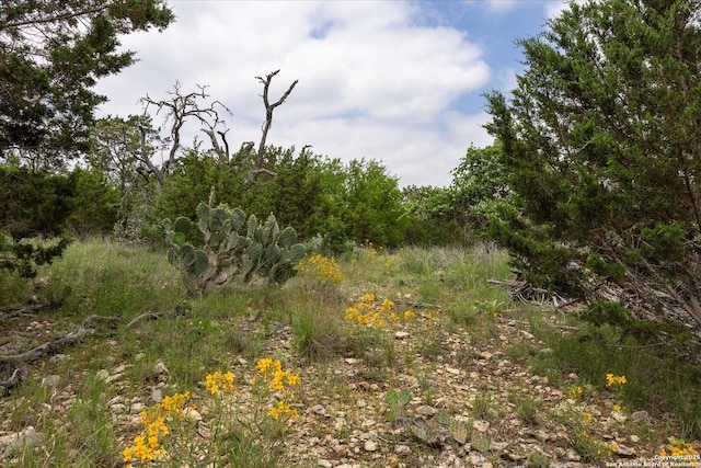 000 Oakridge Trl, Pipe Creek, TX 78063