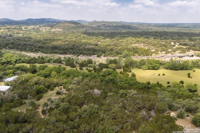 000 Oakridge Trl, Pipe Creek, TX 78063