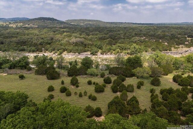 000 Oakridge Trl, Pipe Creek, TX 78063