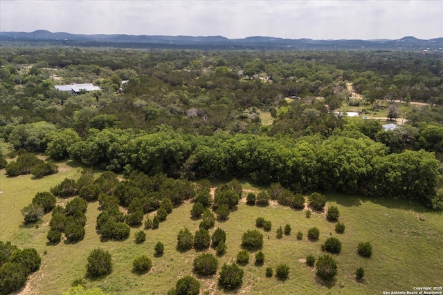 000 Oakridge Trl, Pipe Creek, TX 78063