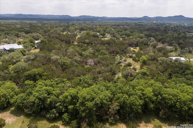 000 Oakridge Trl, Pipe Creek, TX 78063