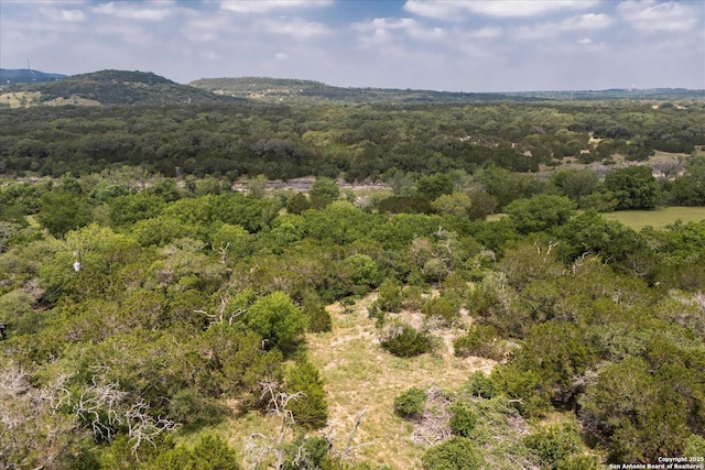 000 Oakridge Trl, Pipe Creek, TX 78063