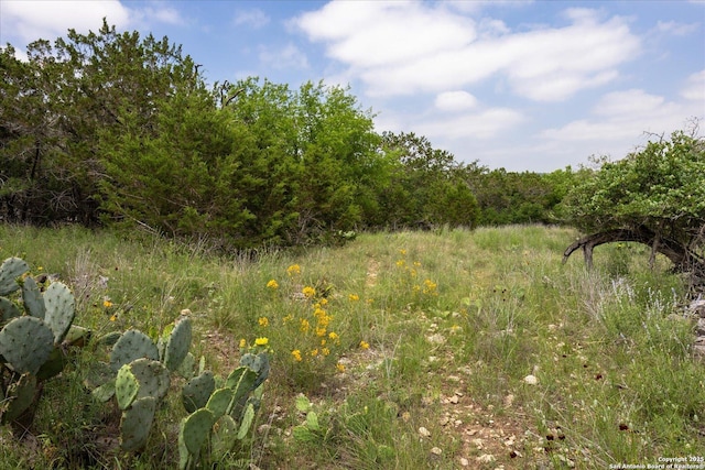 000 Oakridge Trl, Pipe Creek, TX 78063