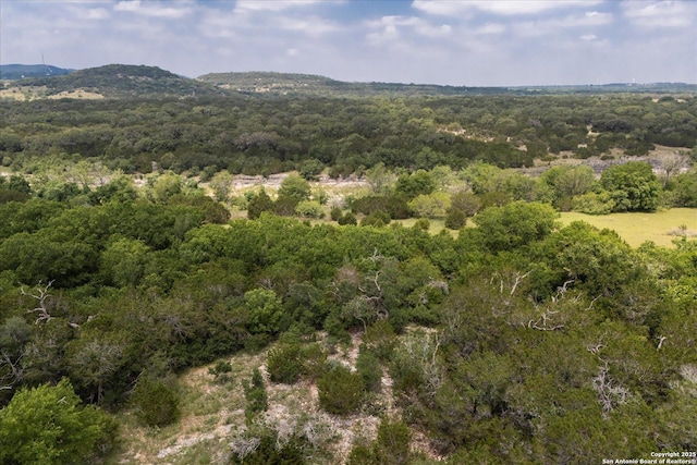 000 Oakridge Trl, Pipe Creek, TX 78063