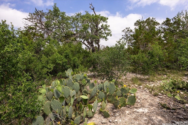 000 Oakridge Trl, Pipe Creek, TX 78063