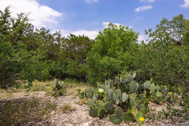 000 Oakridge Trl, Pipe Creek, TX 78063