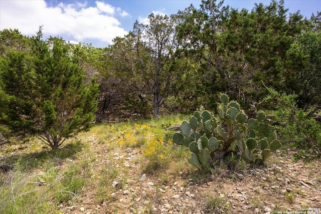 000 Oakridge Trl, Pipe Creek, TX 78063