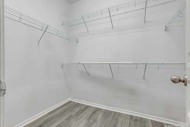 10442 Macarthur, Converse, TX 78109 - walk in closet featuring wood finished floors