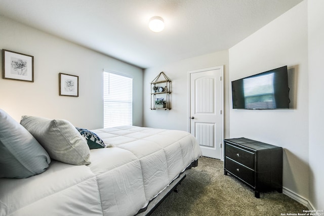 7610 Eclipse Mark, San Antonio, TX 78252 - view of carpeted bedroom