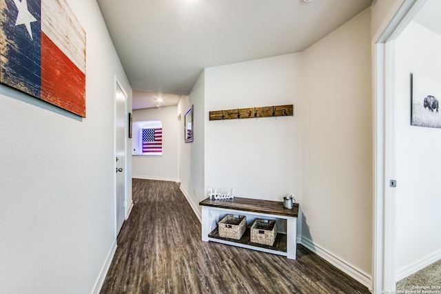 7610 Eclipse Mark, San Antonio, TX 78252 - hall with wood finished floors and baseboards