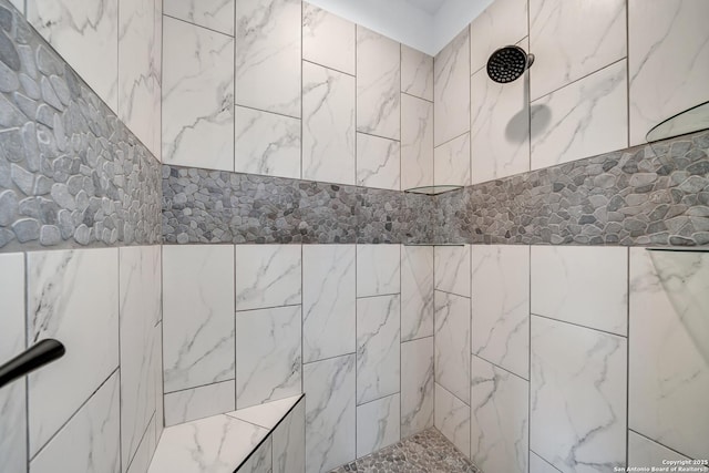 104 Bayberry Ct, La Vernia, TX 78121 - bathroom with a tile shower