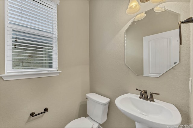 267 Oak Crk, New Braunfels, TX 78130 - bathroom with a sink, toilet, and healthy amount of natural light