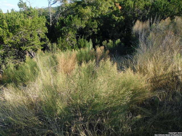 22202 Ravine, San Antonio, TX 78255