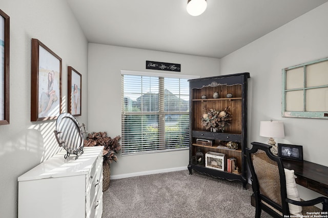 891 Noel, New Braunfels, TX 78130 - office space featuring carpet flooring and baseboards