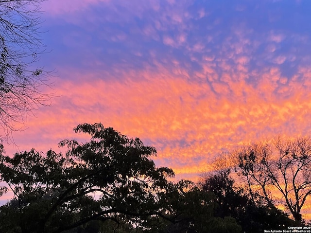 1006 Guadalupe St Unit 1B, Kerrville, TX 78028 - view of nature at dusk