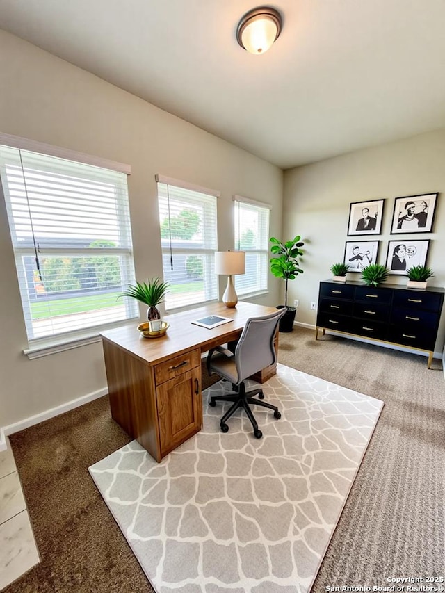 4823 Cambridge Park, Converse, TX 78109 - home office with light colored carpet and baseboards