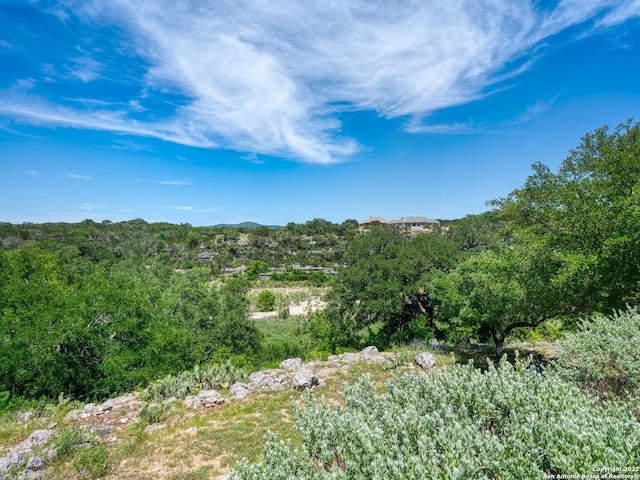 2835 Palomino Spgs, Bandera, TX 78003 - view of nature